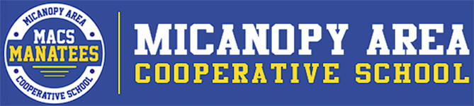 EDUCATION AND GOVERNMENT Micanopy Cooperative School